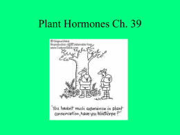 PowerPoint Presentation - Plant Hormones Ch. 39 file