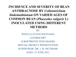 INCIDENCE AND SEVERITY OF BEAN ANTHRACNOSE BY
