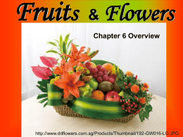 Seeds & Fruit Chapter 6