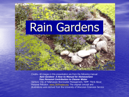 Rain Gardens - Florida-Friendly Landscaping™ Program