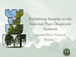 Submitting Samples to the National Plant Diagnostic Network