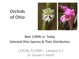 Orchids of Ohio (or supposedly)