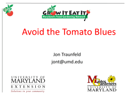 MG4 Tomato Blues - University of Maryland Extension