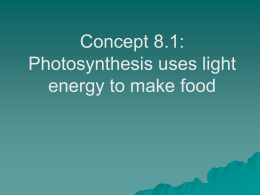 Photosynthesis uses light energy to make food