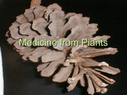 Medicine from Plants