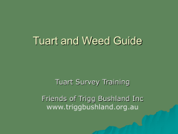 Tuart and weed Guide - Friends of Trigg Bushland Home Page