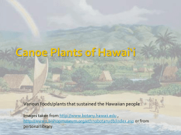 Canoe Plants of Hawai’i