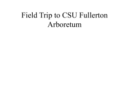Field Trip to CSU Fullerton Arboretum
