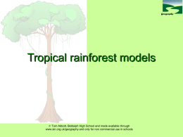 Rainforest plants - Staffordshire Learning Net