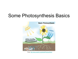 Some Photosyntesis Basics