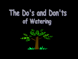 Do's and Don'ts of Watering
