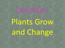 CHAPTER 1 Plants Grow and Change