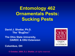 Ornamentals Pests - Sucking Pests (in blue)