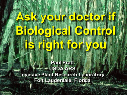 Biological Control of Invasive Plants in South Florida