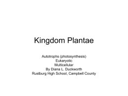 Kingdom Plantae - Smyth County Virginia Public Schools