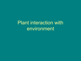 Plant interaction with environment