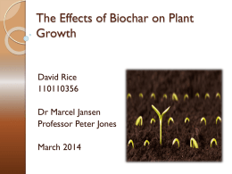 The Effects of Biochar on Plant Growth