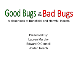 Good Bugs/Bad Bugs A closer look at Beneficial and Harmful