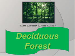 Deciduous Forests - Byron High School