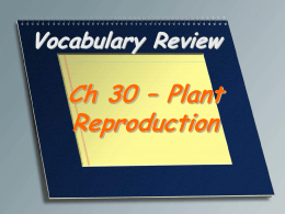 Vocabulary Review - POTOSI SCHOOL DISTRICT