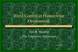 Weed Control in Homeowner Ornamentals