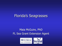Florida's Seagrasses - St. Johns County Extension Office