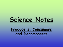 Science Notes