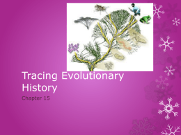 Tracing Evolutionary History