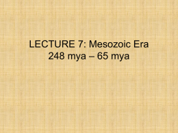 LECTURE 7: Mesozoic Era 248 mya – 65 mya
