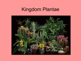 Kingdom Plantae - Porterville Unified School District