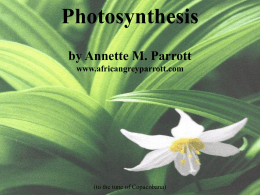 Photosynthesis - Dr. Annette M. Parrott