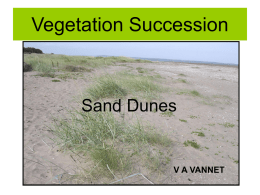 Sand Dune Succession