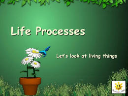 Life Processes - Communication4All