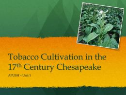 Tobacco Cultivation in the 17th Century Chesapeake