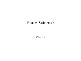 Fiber Science