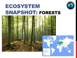 Ecosystem Snapshot – Forests