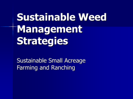 Weed Management - cultivatingsuccess.org