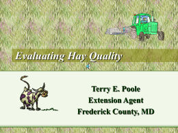 Evaluating Hay Quality - smallfarmsuccess.info