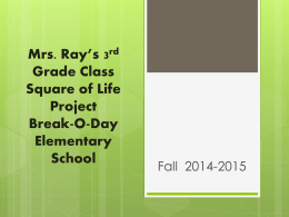 Mrs. Ray’s Class Square of Life Project