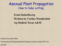Asexual Plant Propagation