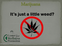 Marijuana - Center for Wellness Promotion