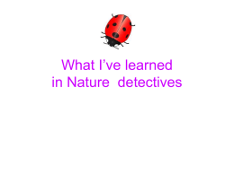 What I`ve learned in Nature detectives
