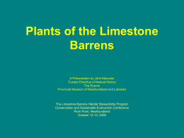 The Plants of our Limestone Barrens