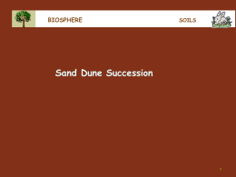 sand dune succ complete
