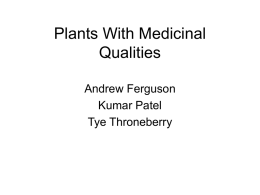 Plants With Medicinal Qualities