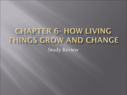 Chapter 6- how living things grow and change