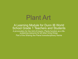 Plant Art-Dunn1 - pypassessment4earlyyears