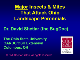 Major Insect & Mite Pests of Perennials