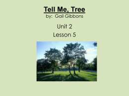 Tell Me, Tree by - Open Court Resources.com
