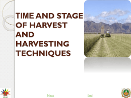 TIME AND STAGE OF HARVEST AND HARVESTING TECHNIQUES
